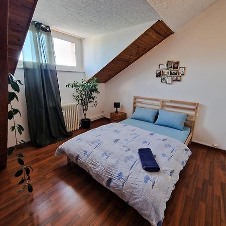 Nice Room 4 Minutes From Basel Shared Apartment Saint-Louis (Haut-Rhin) Exterior photo