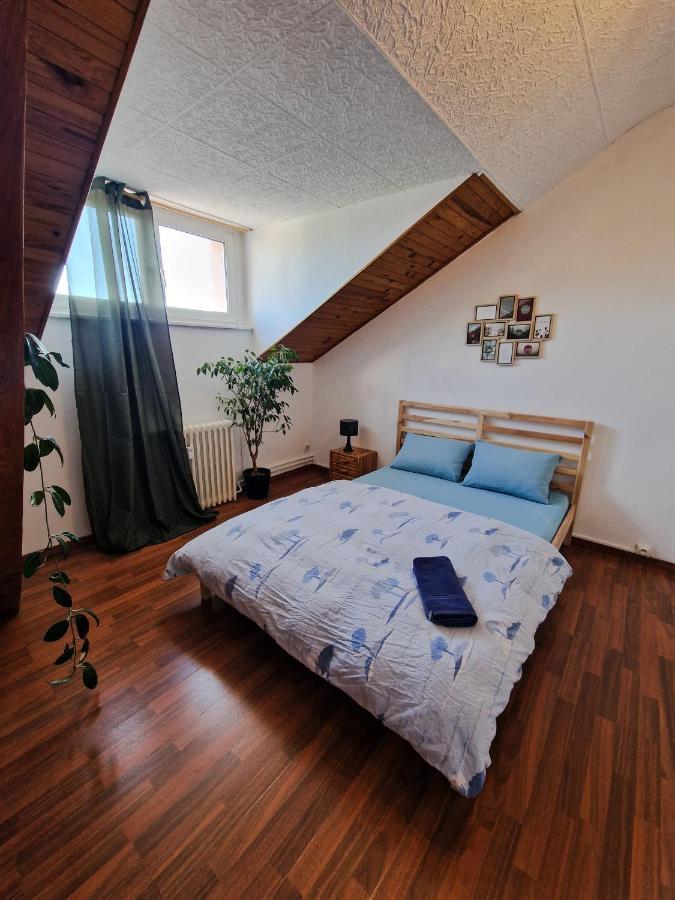 Nice Room 4 Minutes From Basel Shared Apartment Saint-Louis (Haut-Rhin) Exterior photo