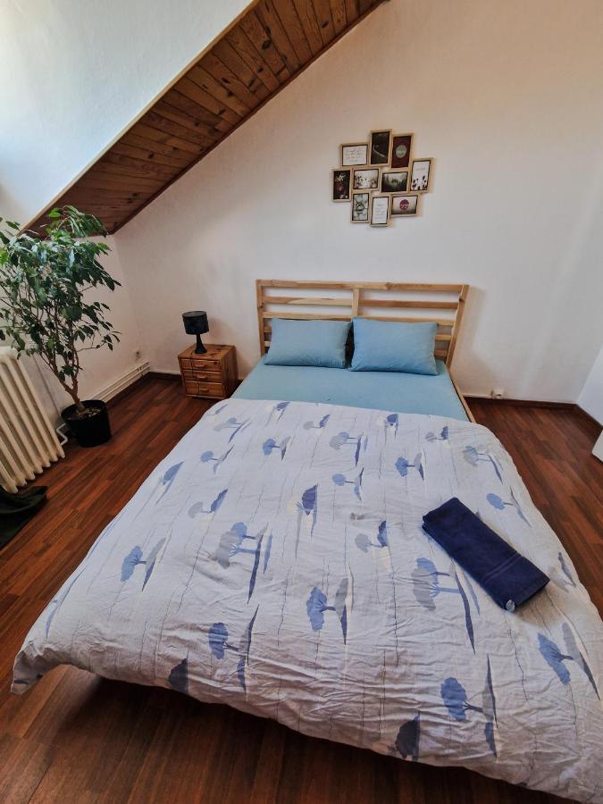 Nice Room 4 Minutes From Basel Shared Apartment Saint-Louis (Haut-Rhin) Exterior photo