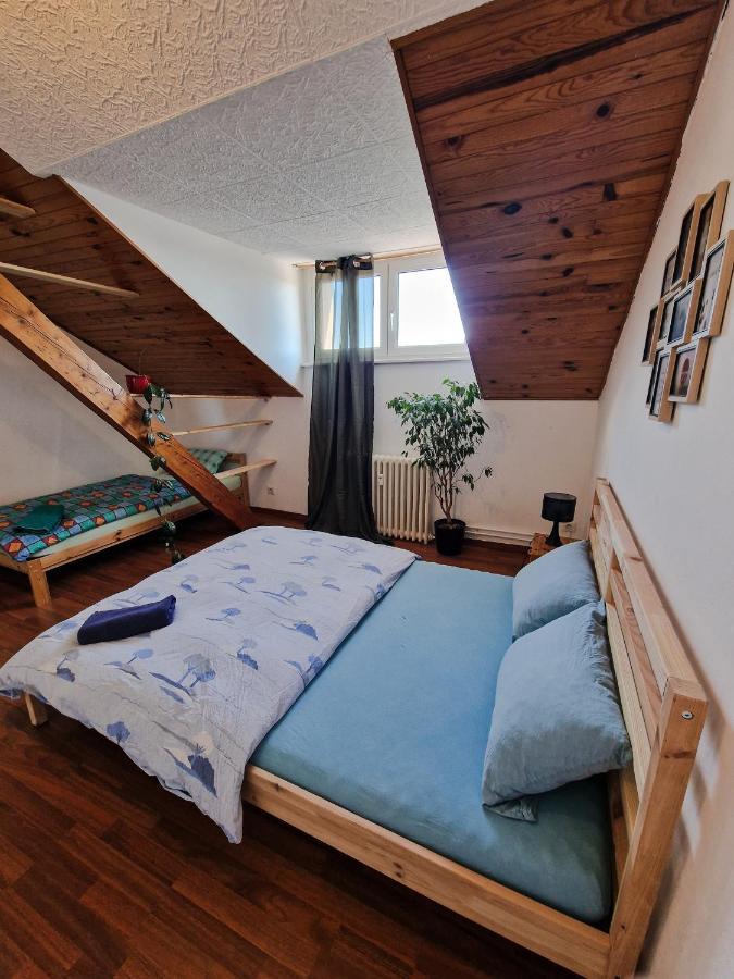 Nice Room 4 Minutes From Basel Shared Apartment Saint-Louis (Haut-Rhin) Exterior photo