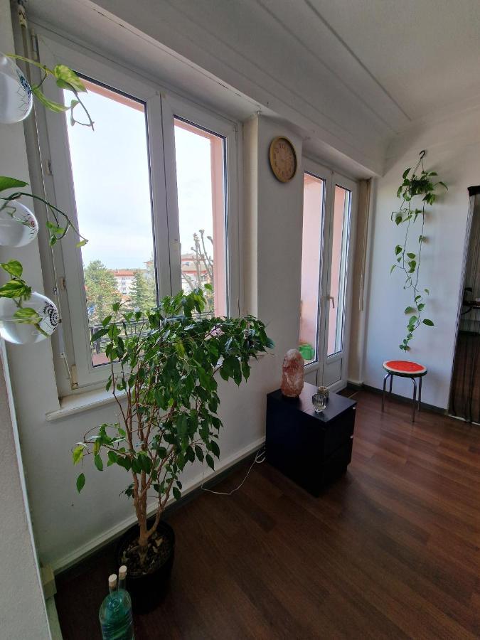 Nice Room 4 Minutes From Basel Shared Apartment Saint-Louis (Haut-Rhin) Exterior photo
